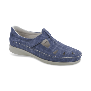 Roamer Blue Jay
